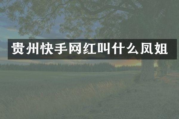 贵州快手网红叫什么凤姐
