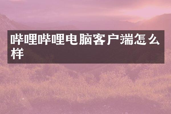 哔哩哔哩电脑客户端怎么样