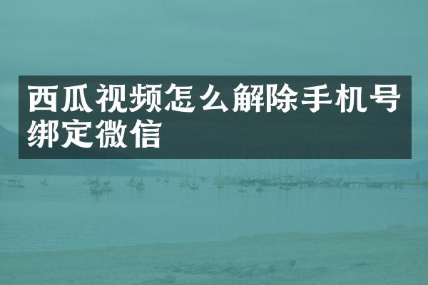 西瓜视频怎么解除手机号绑定微信