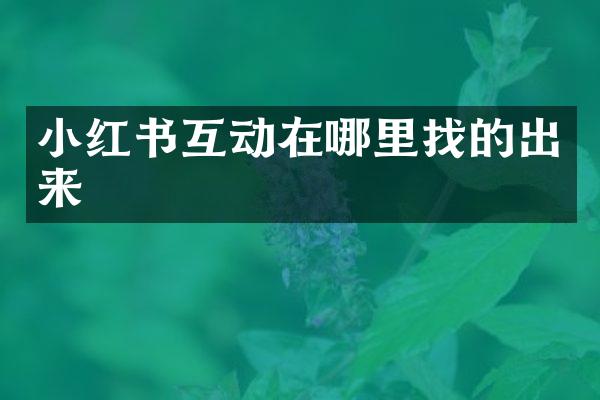 小红书互动在哪里找的出来