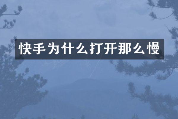 快手为什么打开那么慢