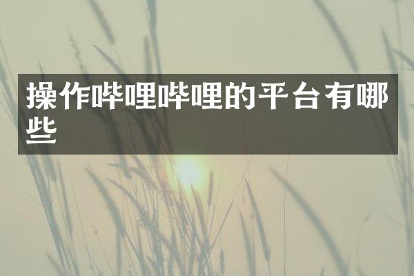 操作哔哩哔哩的平台有哪些