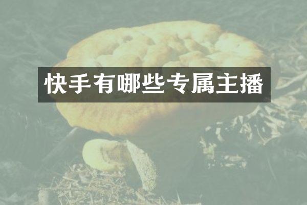 快手有哪些专属主播