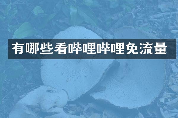 有哪些看哔哩哔哩免流量