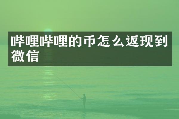 哔哩哔哩的币怎么返现到微信