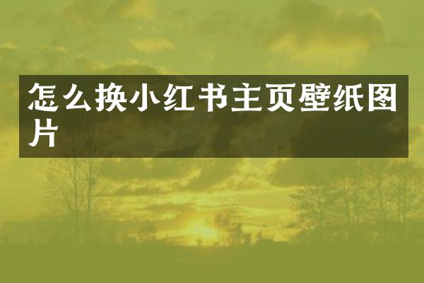 怎么换小红书主页壁纸图片