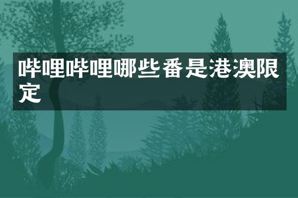 哔哩哔哩哪些番是港澳限定