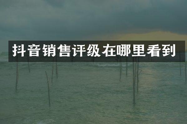 抖音销售评级在哪里看到