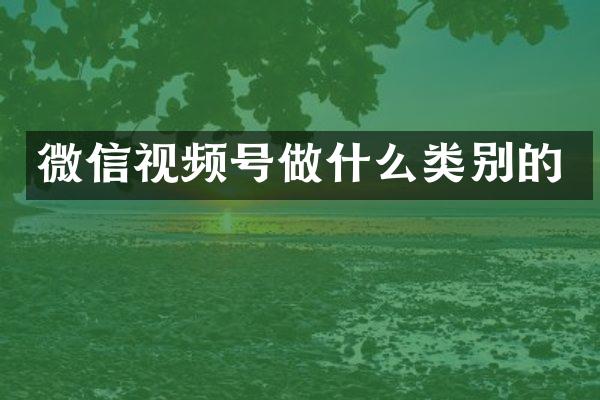 微信视频号做什么类别的