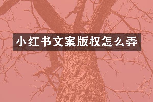 小红书文案版权怎么弄