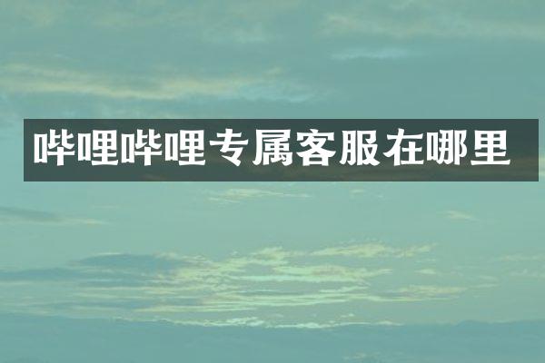 哔哩哔哩专属客服在哪里