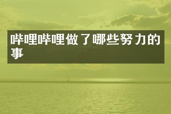 哔哩哔哩做了哪些努力的事