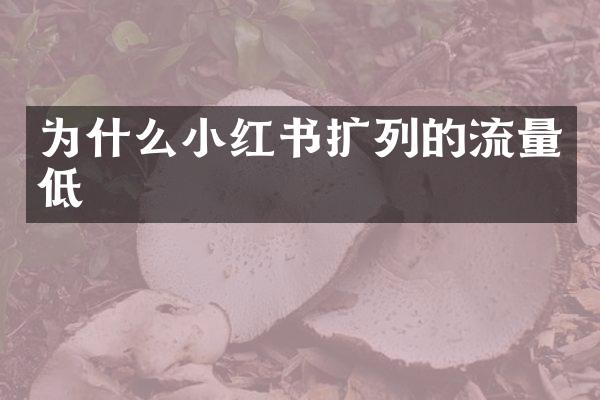 为什么小红书扩列的流量低