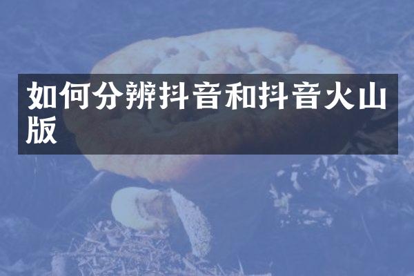 如何分辨抖音和抖音火山版