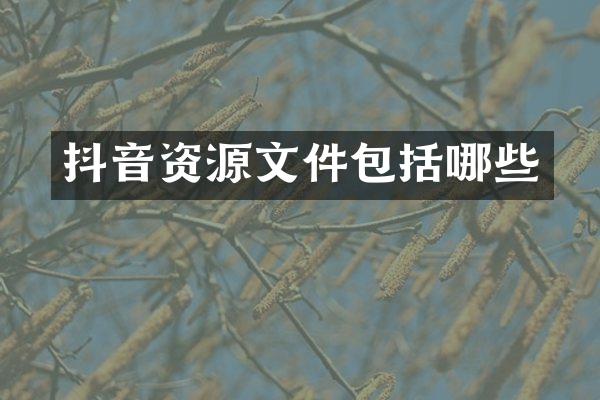 抖音资源文件包括哪些