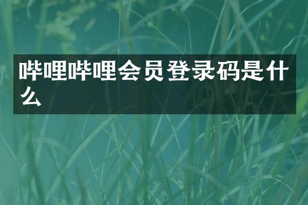 哔哩哔哩会员登录码是什么
