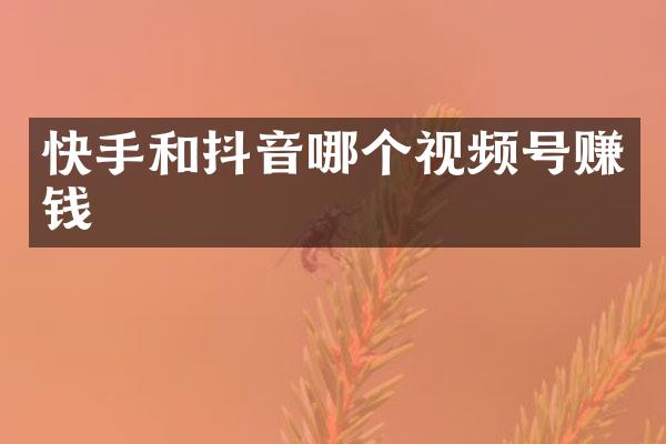 快手和抖音哪个视频号赚钱