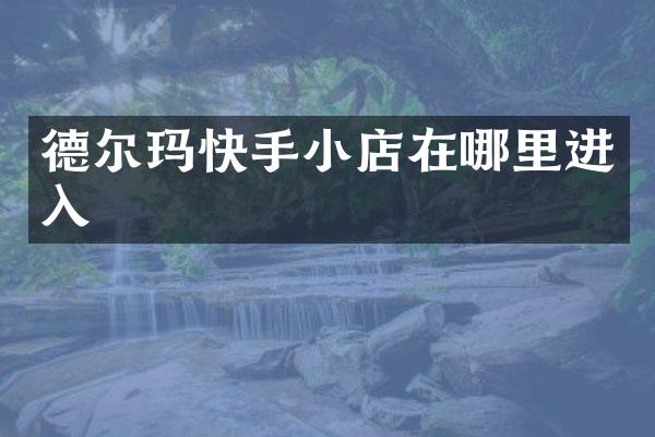 德尔玛快手小店在哪里进入