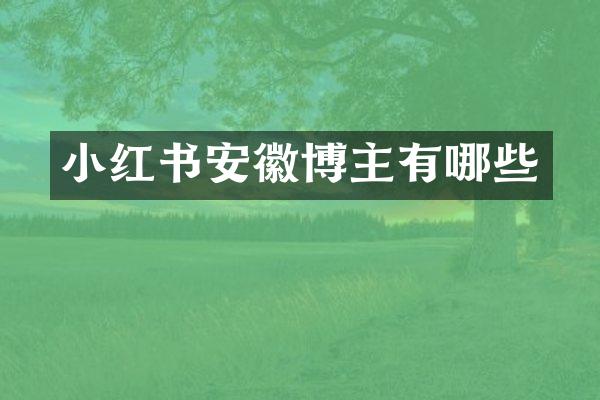 小红书安徽博主有哪些