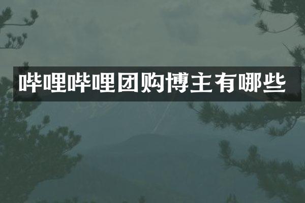 哔哩哔哩团购博主有哪些