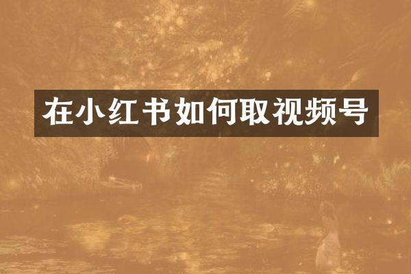 在小红书如何取视频号