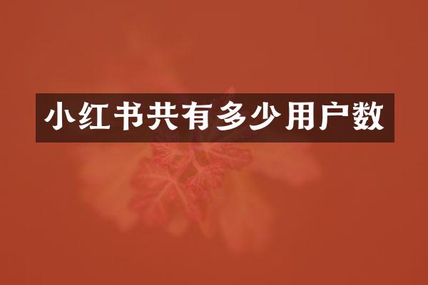 小红书共有多少用户数