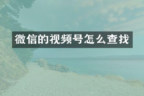 微信的视频号怎么查找