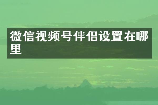 微信视频号伴侣设置在哪里