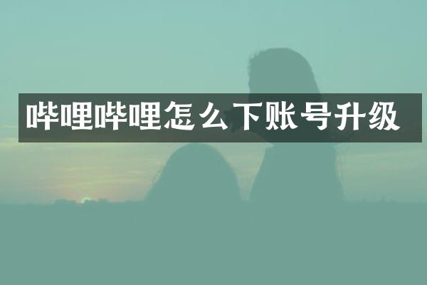 哔哩哔哩怎么下账号升级