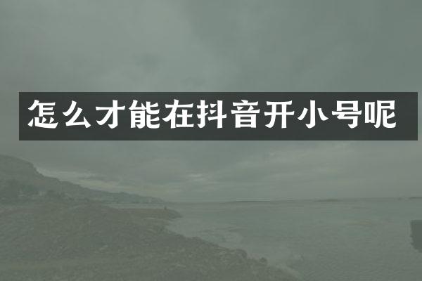 怎么才能在抖音开小号呢
