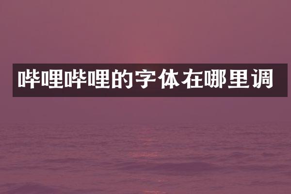 哔哩哔哩的字体在哪里调