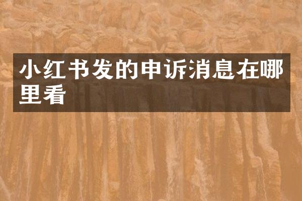 小红书发的申诉消息在哪里看