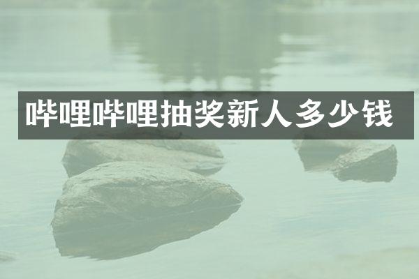哔哩哔哩抽奖新人多少钱