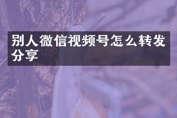 别人微信视频号怎么转发分享