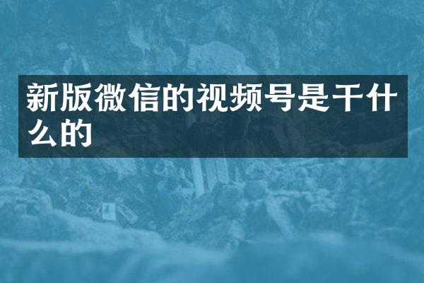 新版微信的视频号是干什么的