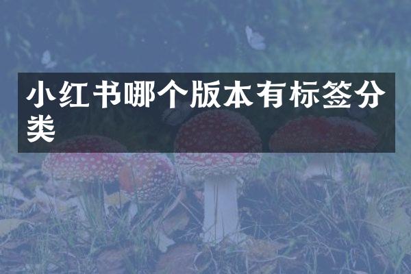 小红书哪个版本有标签分类