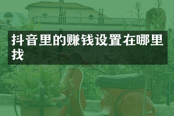 抖音里的赚钱设置在哪里找