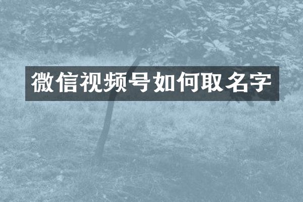 微信视频号如何取名字