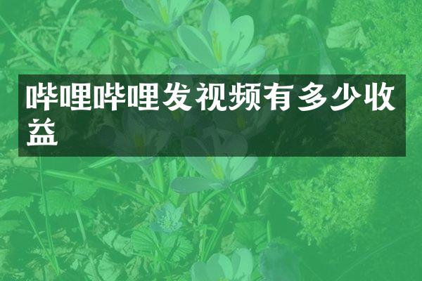 哔哩哔哩发视频有多少收益