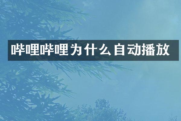 哔哩哔哩为什么自动播放