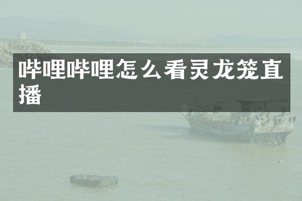 哔哩哔哩怎么看灵龙笼直播