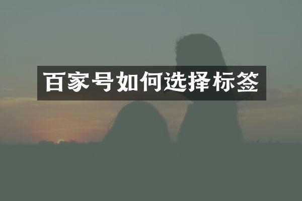 百家号如何选择标签