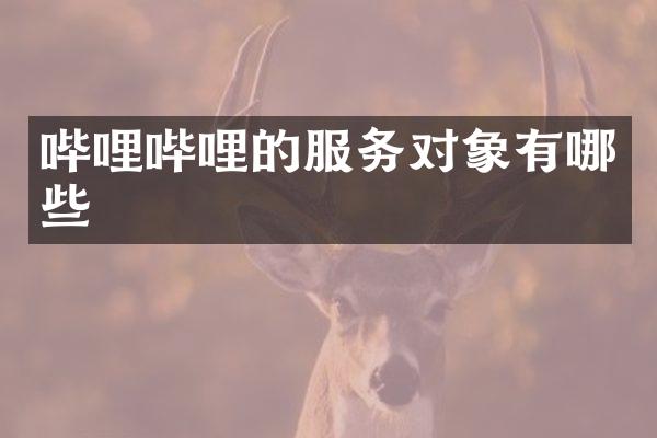 哔哩哔哩的服务对象有哪些