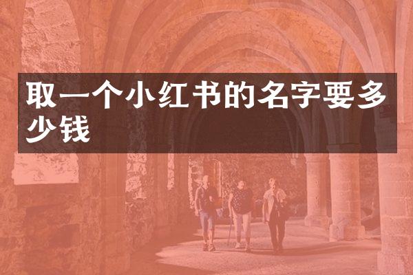 取一个小红书的名字要多少钱