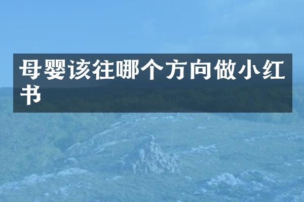母婴该往哪个方向做小红书