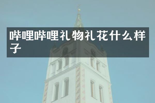 哔哩哔哩礼物礼花什么样子