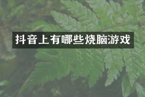 抖音上有哪些烧脑游戏