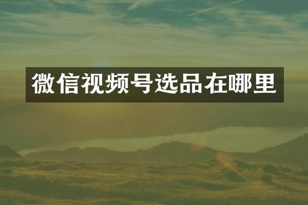 微信视频号选品在哪里