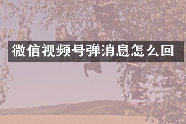 微信视频号弹消息怎么回