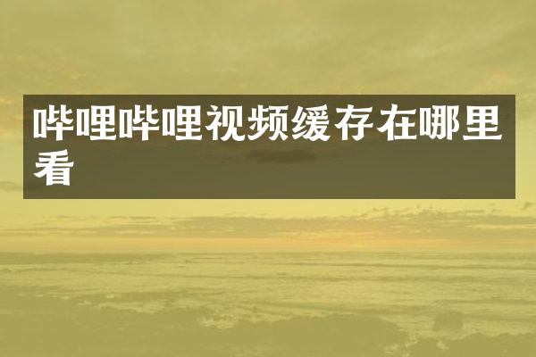 哔哩哔哩视频缓存在哪里看